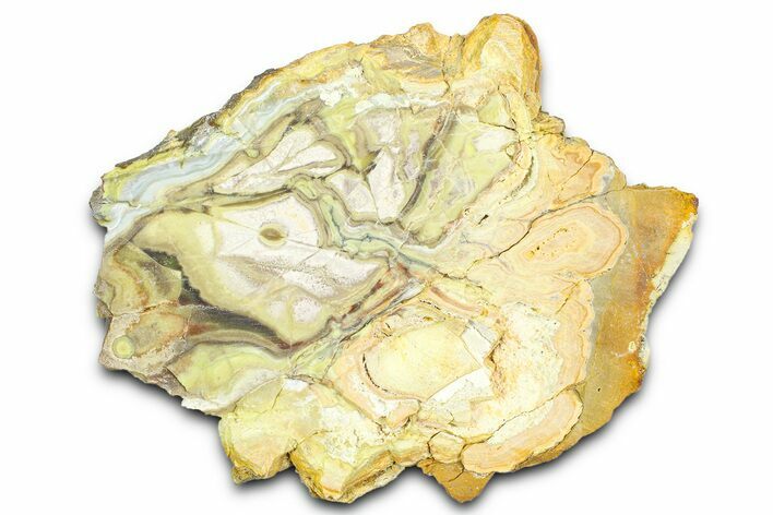 Clay Canyon Crandallite and Wardite - Old Collection Stock #362047